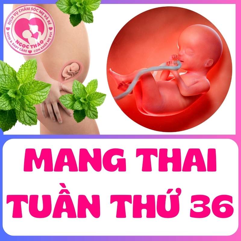 Thay nhi quay đầu xuống dưới